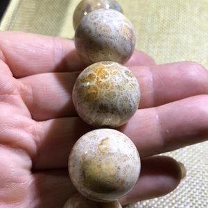 Millions years old Relict Fossil Agatized Coral bracelet